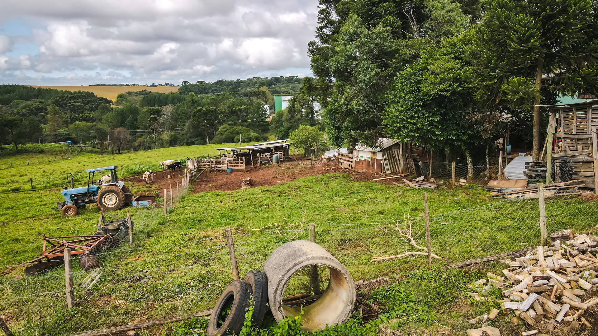 #58739041 - Área para Venda em Campos Novos - SC