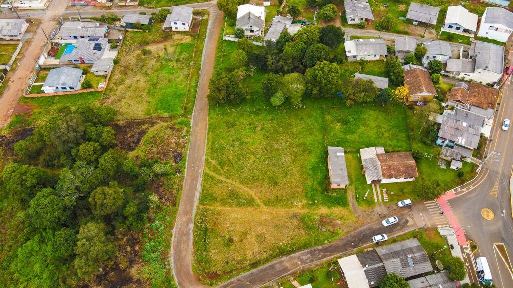 #58739133 - Área para Venda em Campos Novos - SC