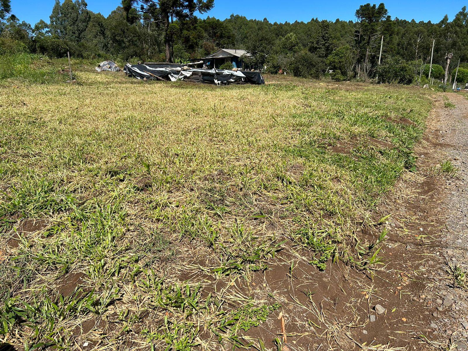 #58739304 - Urbano para Venda em Celso Ramos - SC