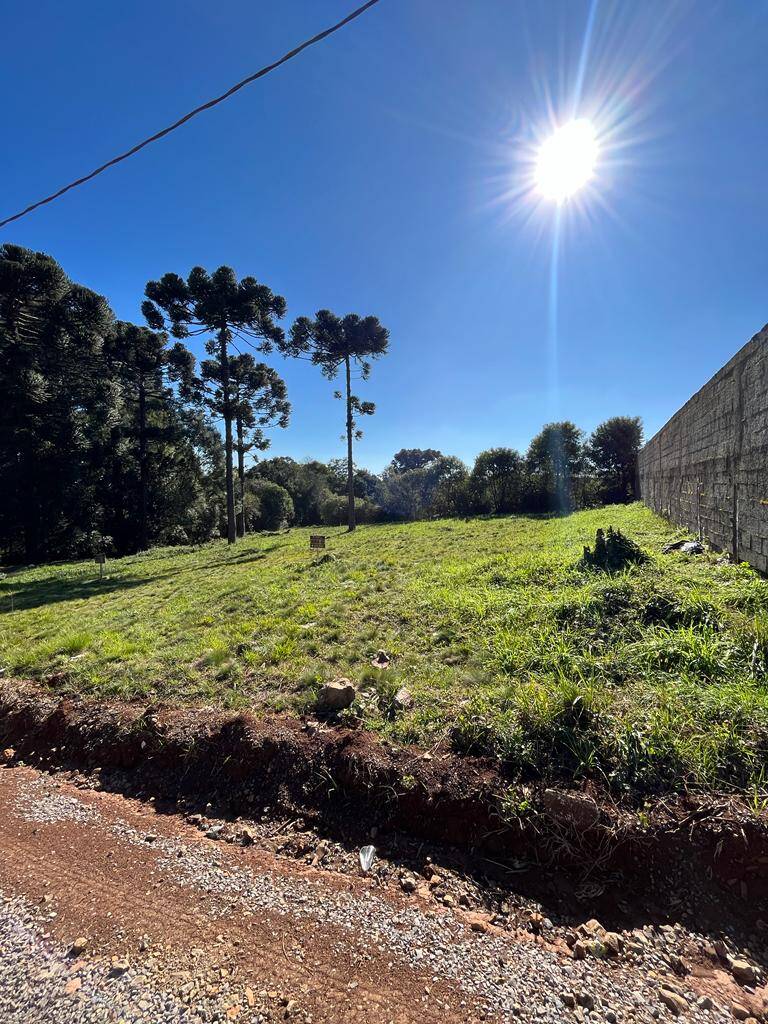 #58739491 - Área para Venda em Campos Novos - SC