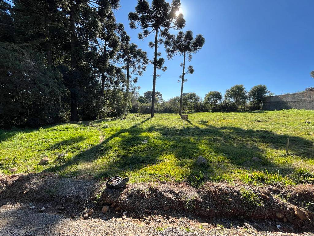 #58739492 - Área para Venda em Campos Novos - SC