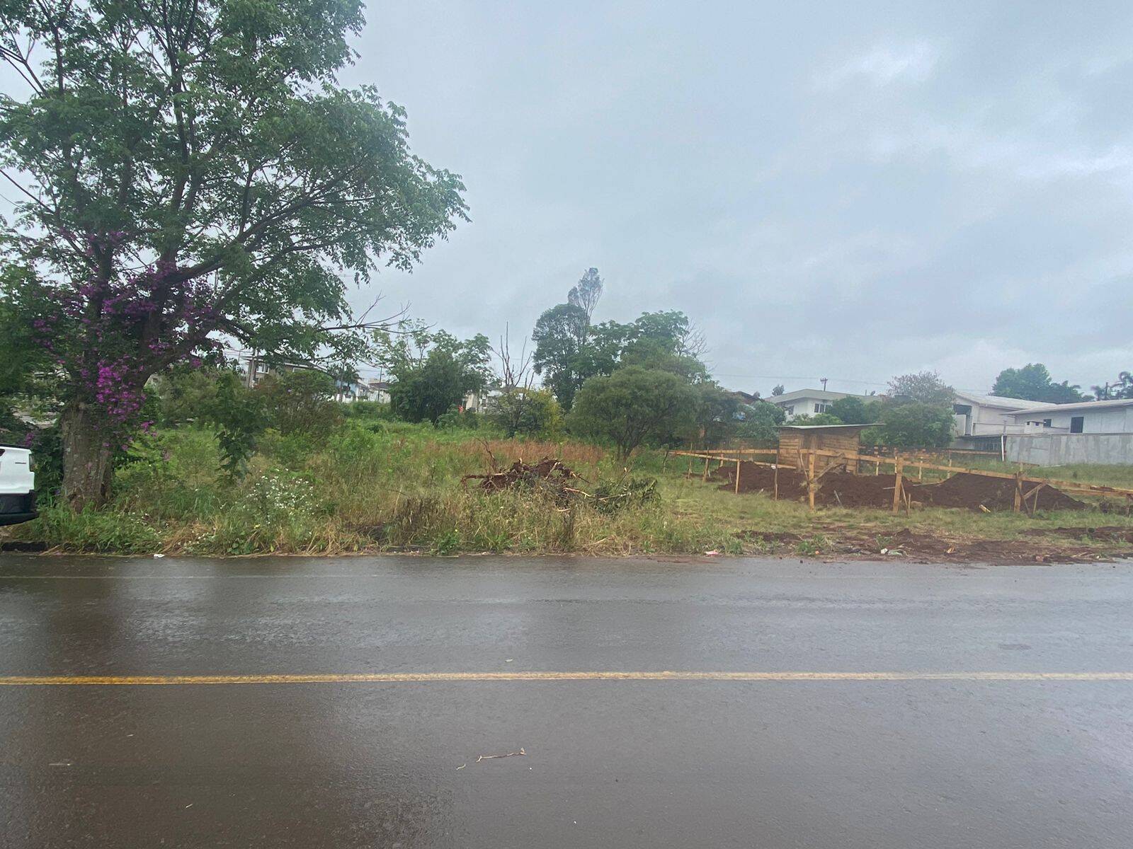 #58739573 - Área para Venda em Campos Novos - SC