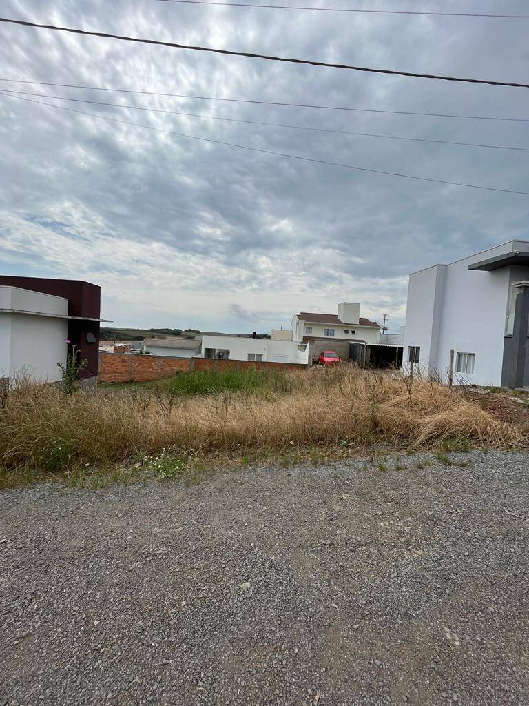 #58739574 - Área para Venda em Campos Novos - SC