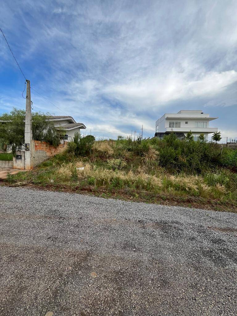 #58739641 - Área para Venda em Campos Novos - SC