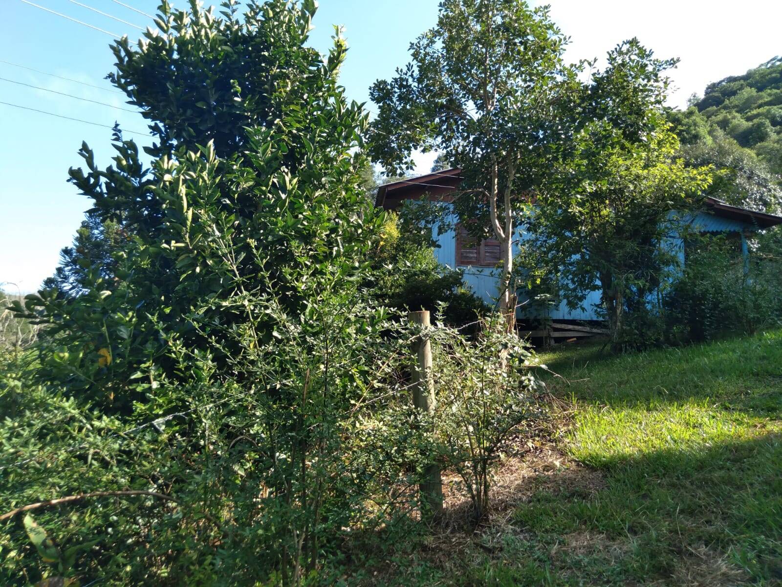 #58739646 - Chácara para Venda em Abdon Batista - SC