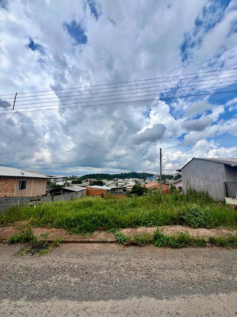 #58739659 - Área para Venda em Campos Novos - SC