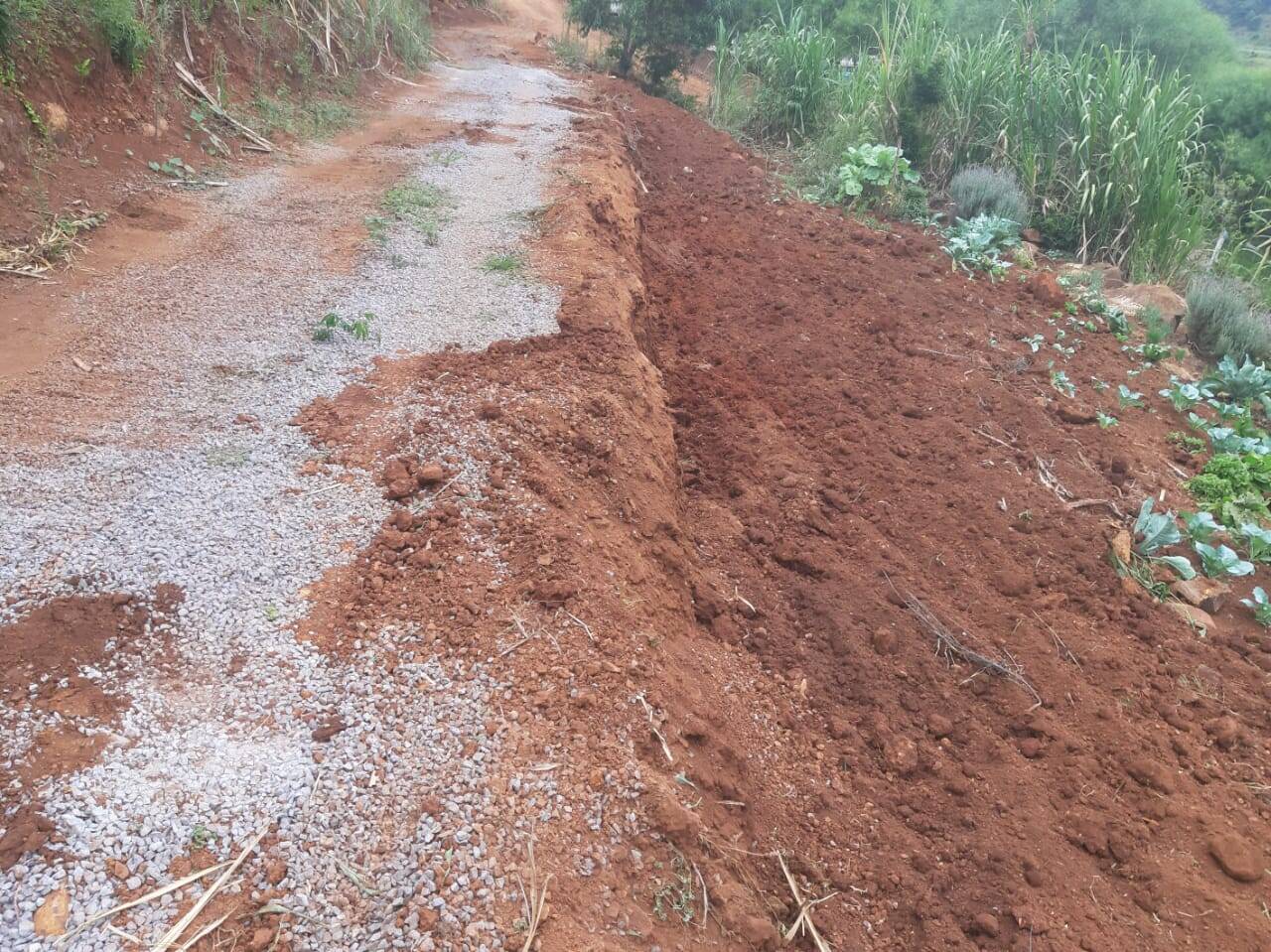 #58739706 - Chácara para Venda em Vargem - SC