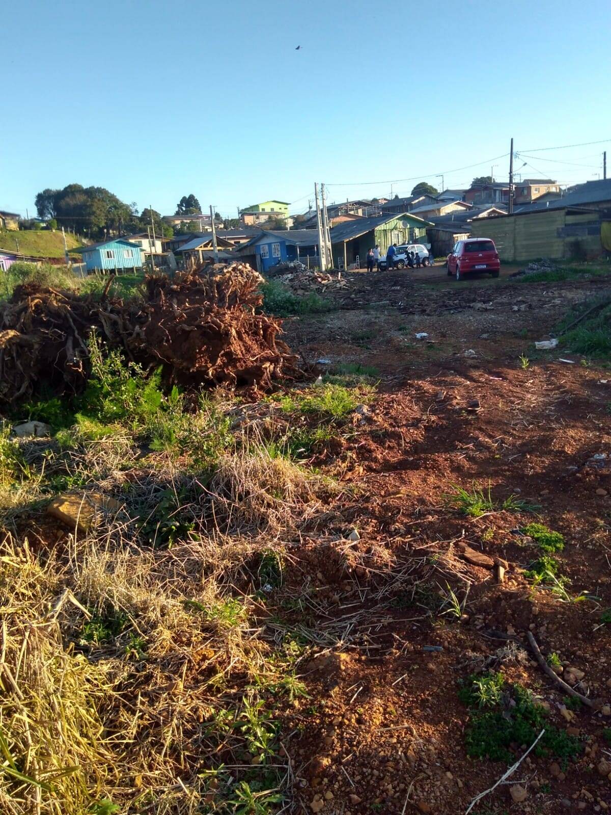 #58739677 - Área para Venda em Monte Carlo - SC