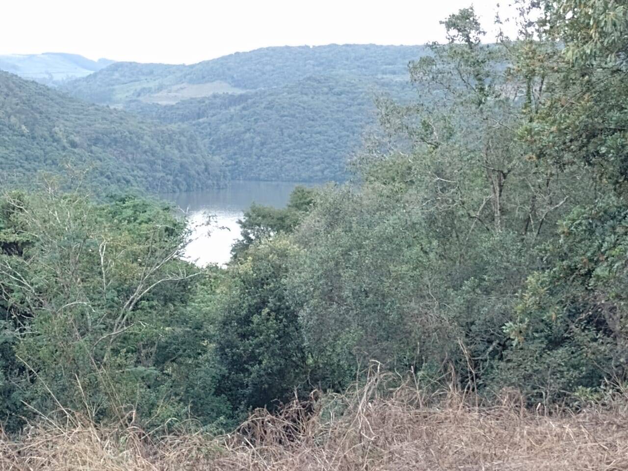 #58739775 - Chácara para Venda em Campos Novos - SC