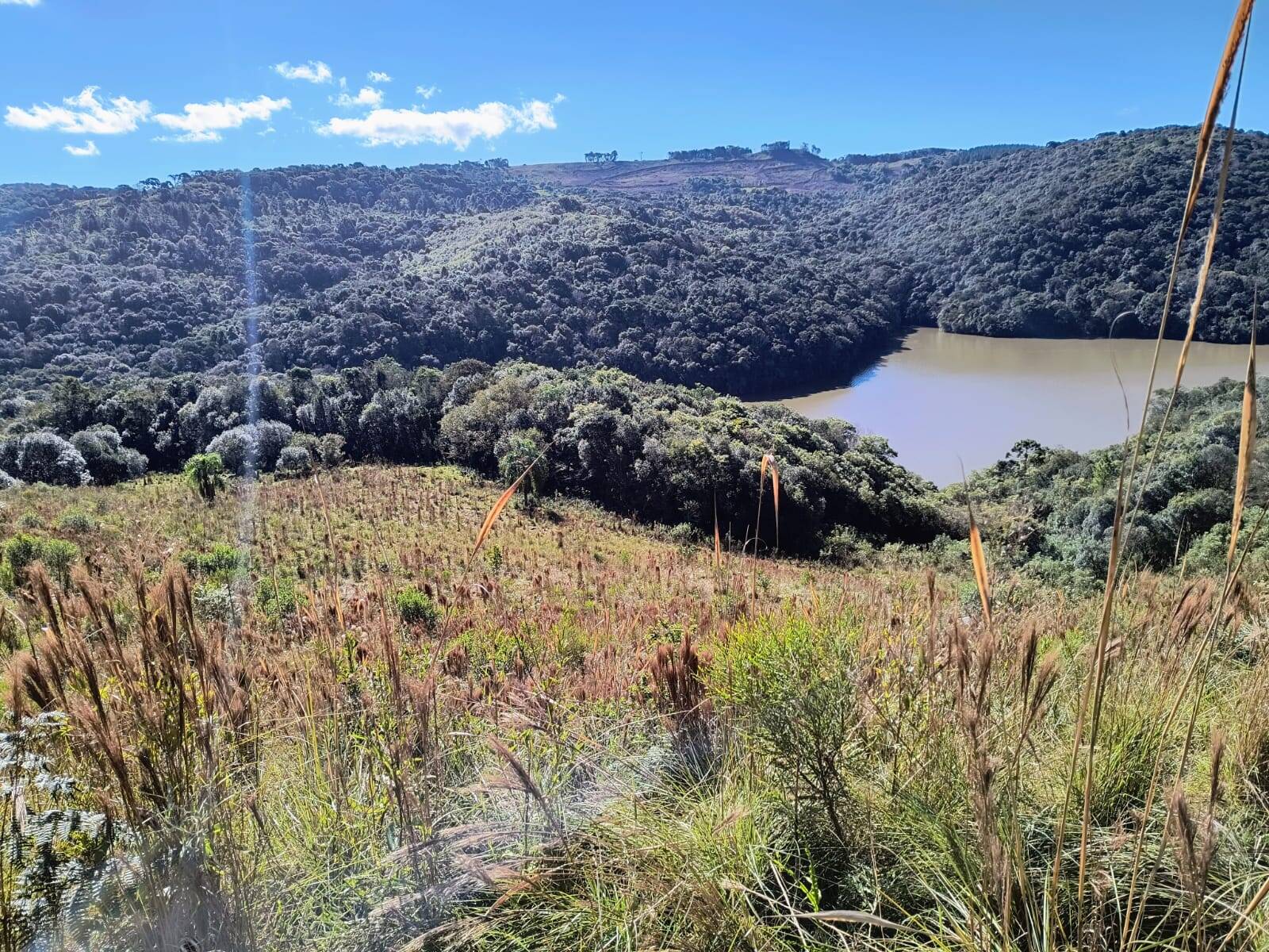 #58739813 - Chácara para Venda em Campos Novos - SC