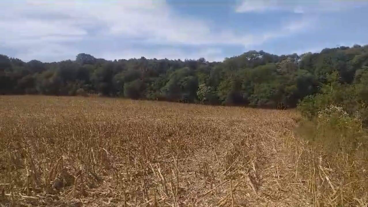 #58739832 - Chácara para Venda em Anita Garibaldi - SC