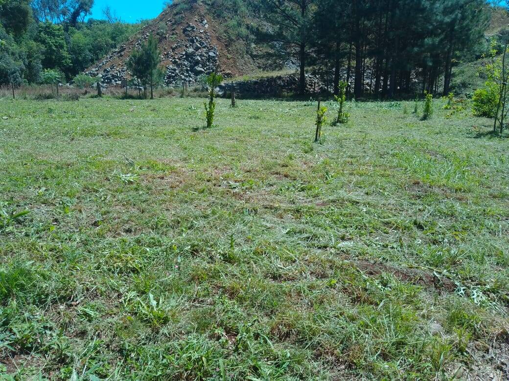 #58739835 - Chácara para Venda em Campos Novos - SC