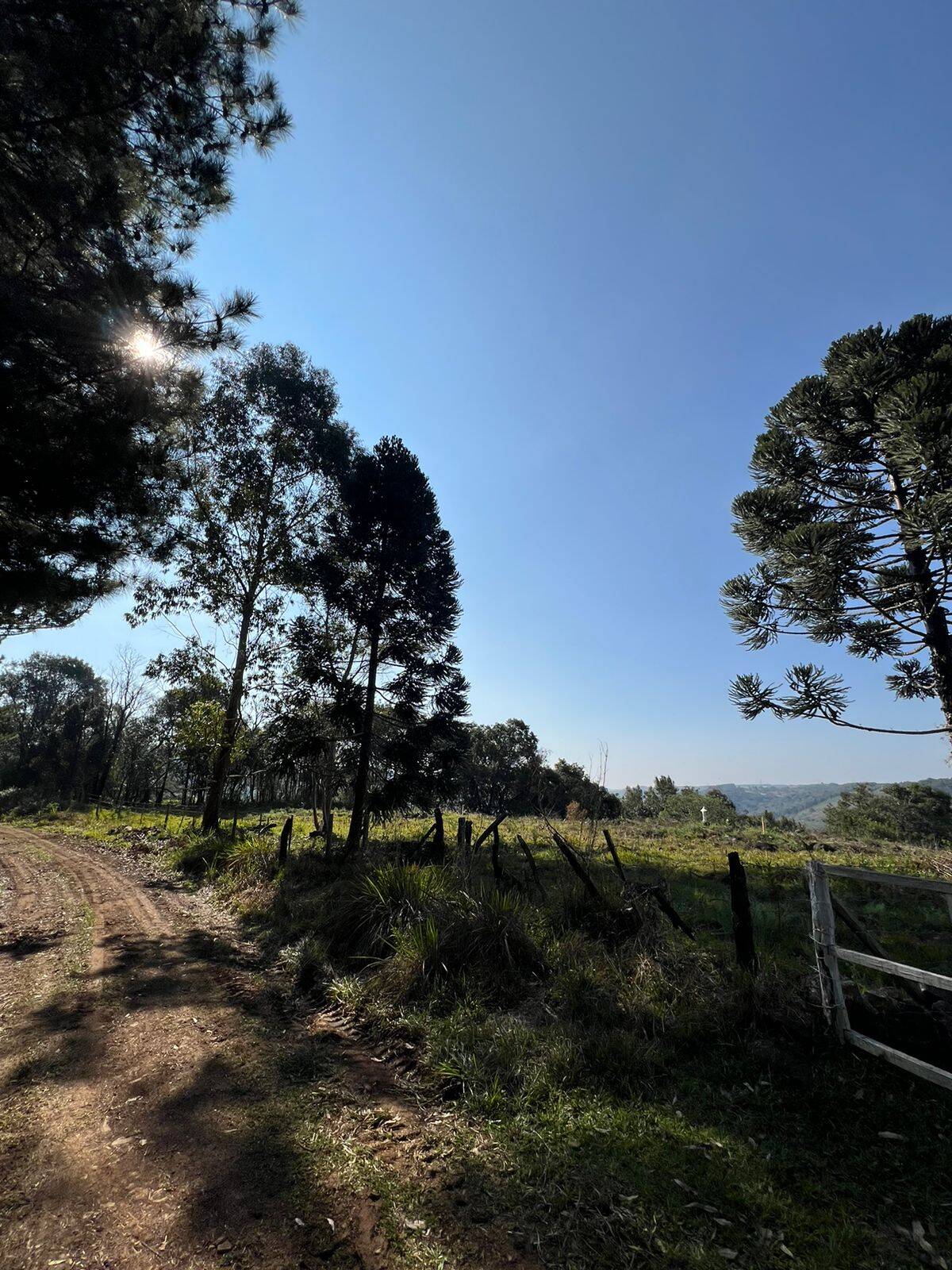 #58739903 - Área para Venda em Campos Novos - SC