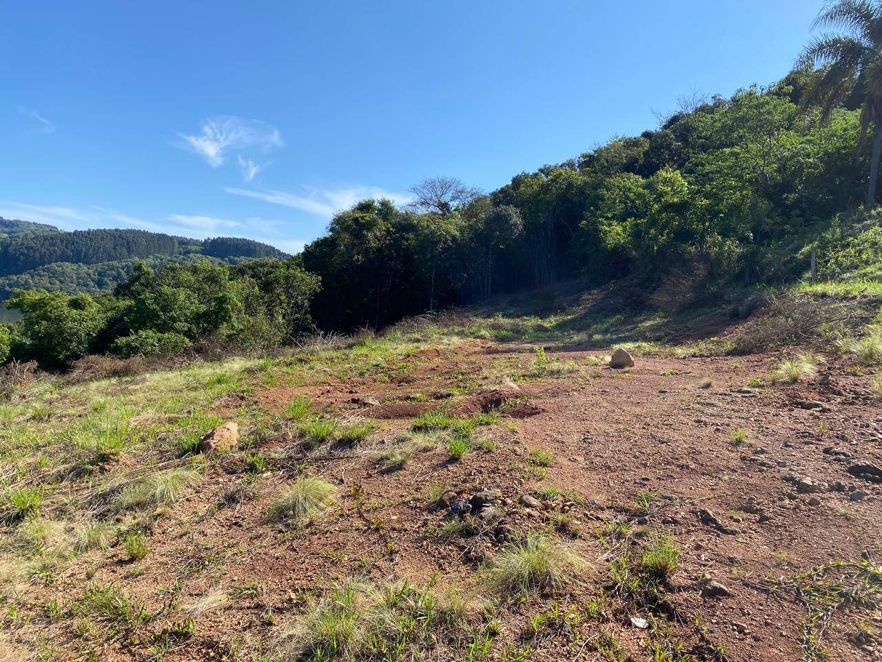 #58739930 - Chácara para Venda em Campos Novos - SC