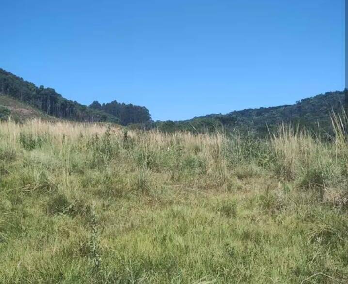 #58740104 - Chácara para Venda em Campos Novos - SC