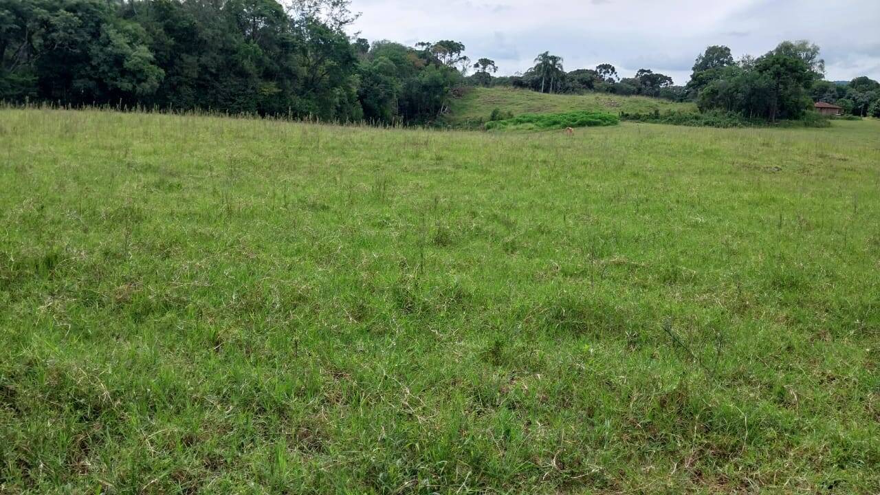 #58740215 - Chácara para Venda em Ibiam - SC