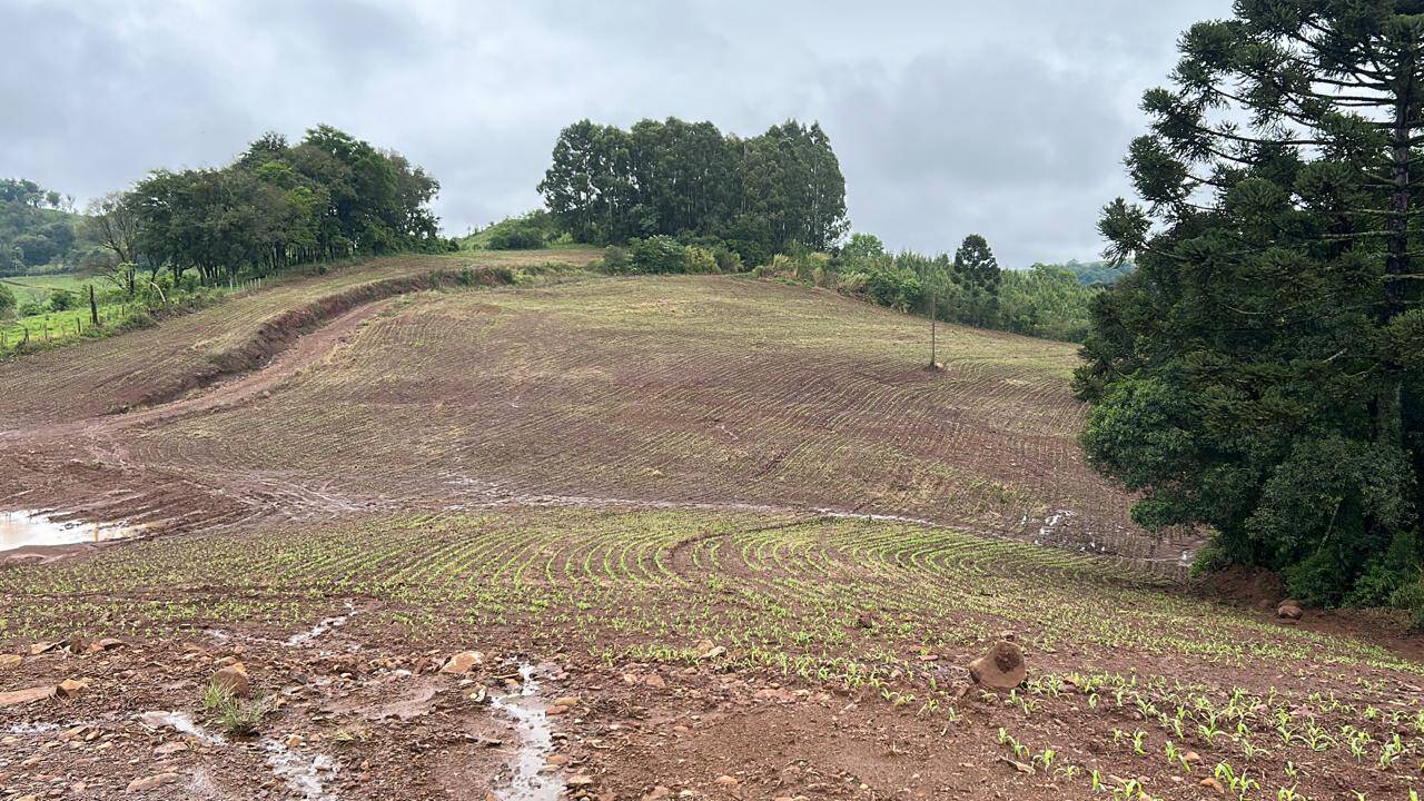 #58740219 - Chácara para Venda em Campos Novos - SC