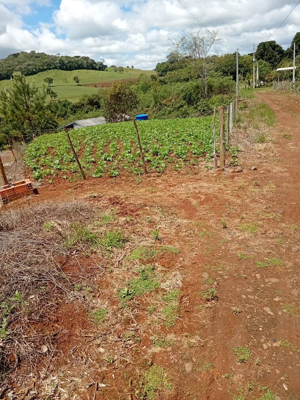 #58740255 - Chácara para Venda em Abdon Batista - SC