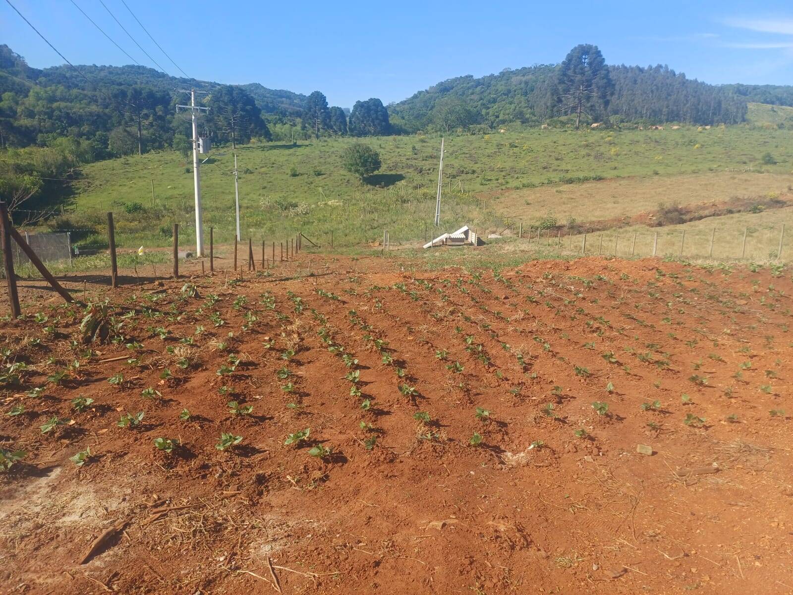 #58740288 - Chácara para Venda em Campos Novos - SC