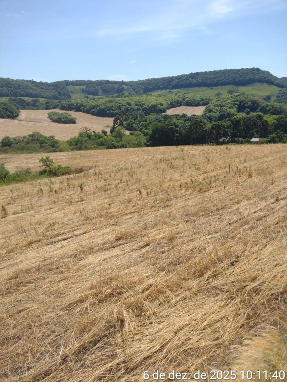 #58740295 - Chácara para Venda em Campos Novos - SC
