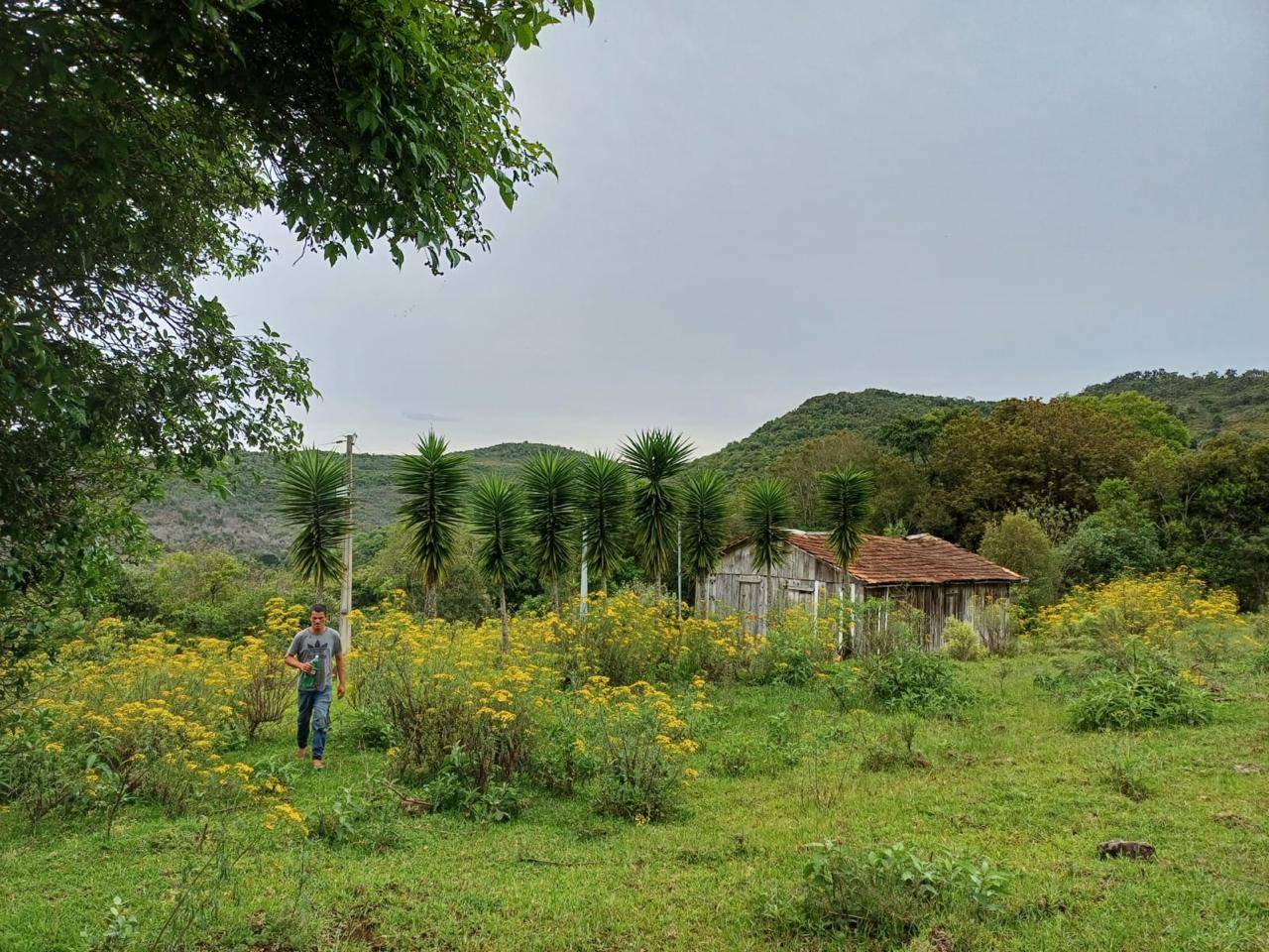 #58740326 - Chácara para Venda em Campos Novos - SC