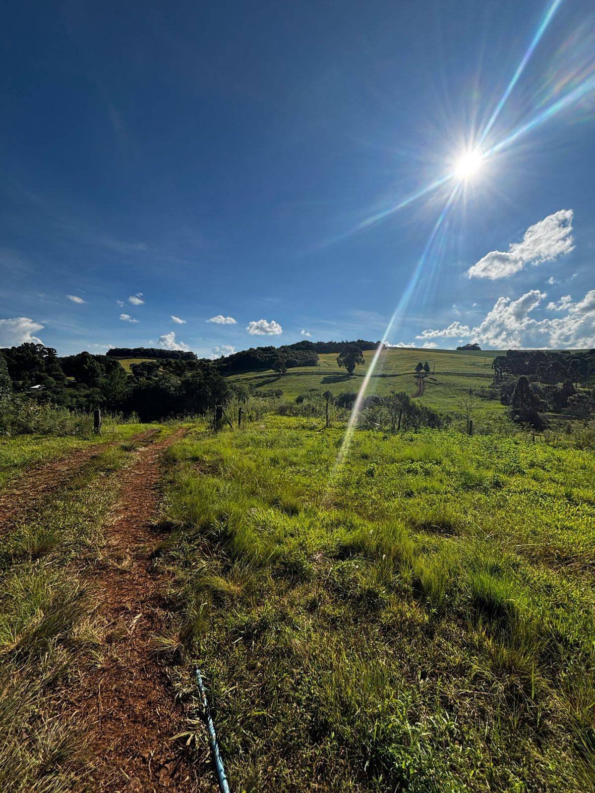 #58740336 - Chácara para Venda em Campos Novos - SC