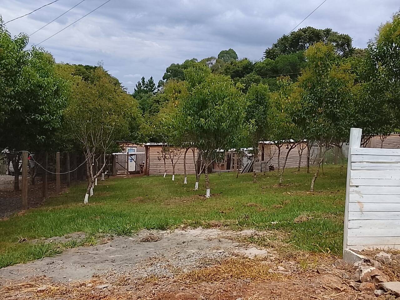 #58740341 - Chácara para Venda em Zortéa - SC