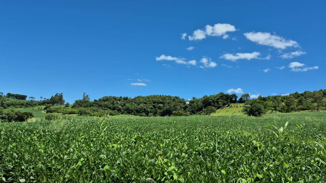 #58740367 - Chácara para Venda em Cascavel - PR