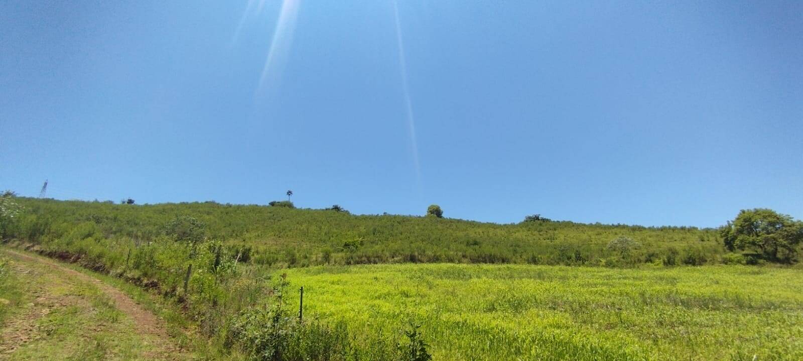 #58740377 - Área para Venda em Abdon Batista - SC