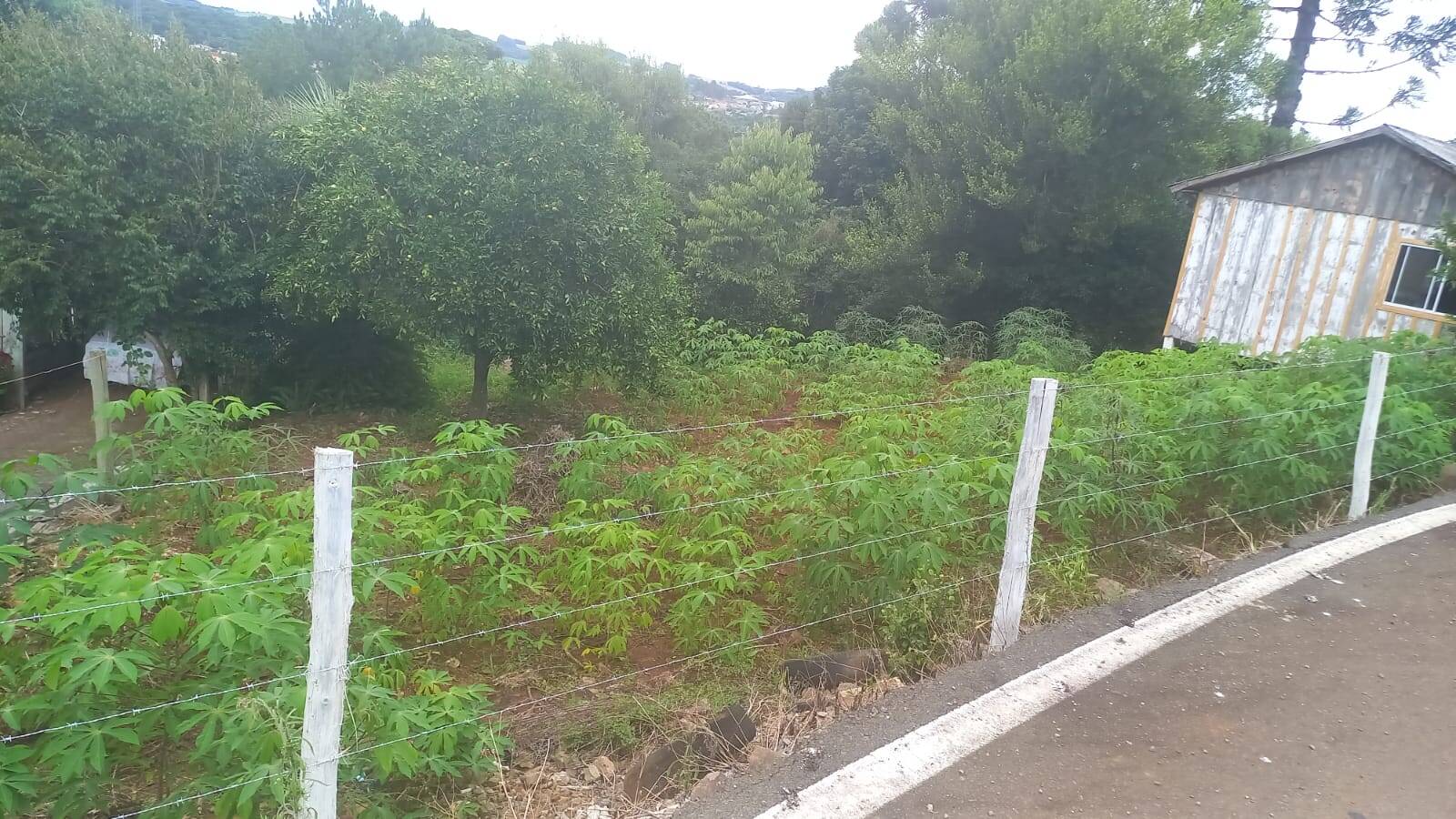 #58740403 - Área para Venda em Zortéa - SC