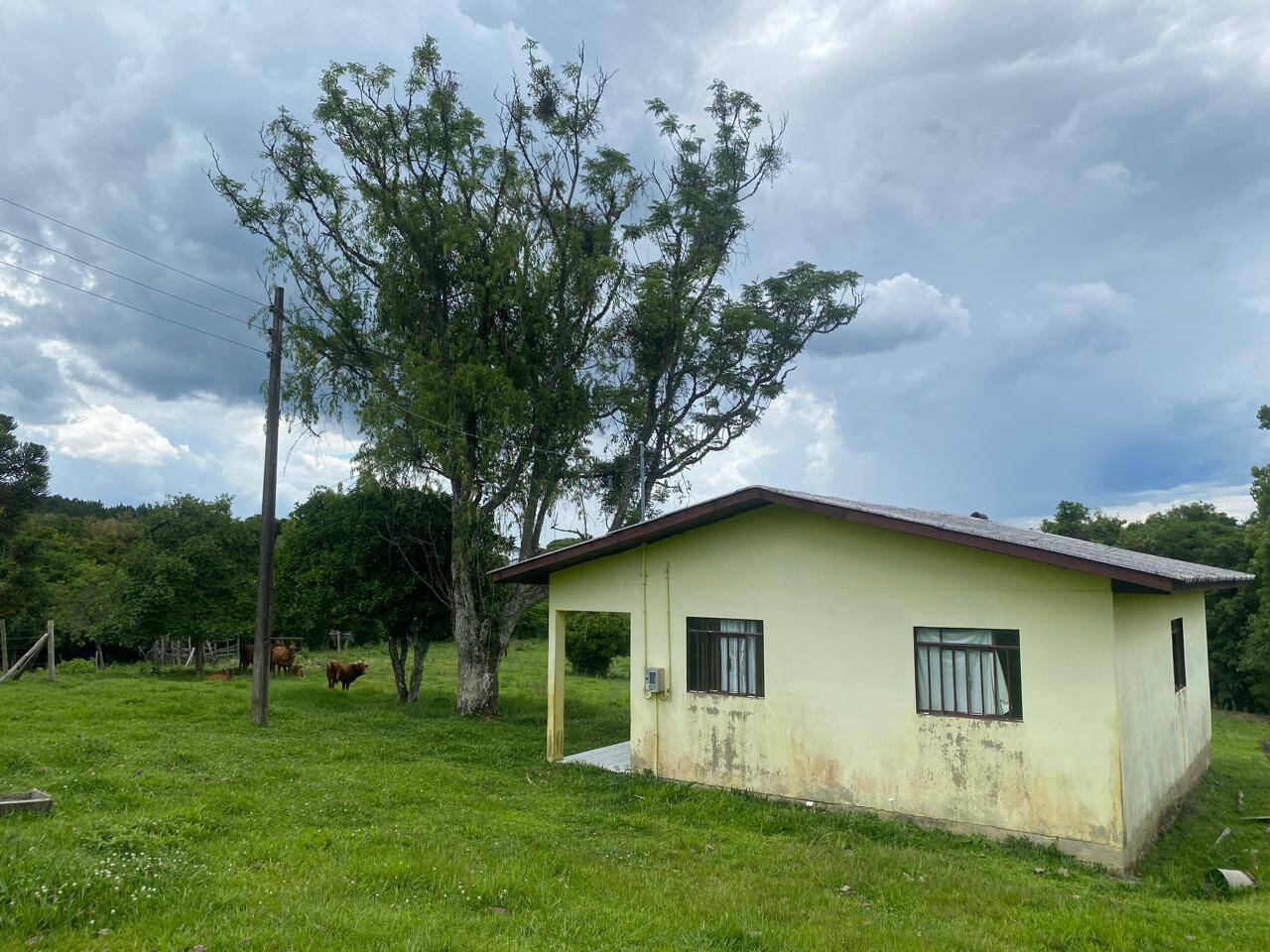 #58740424 - Chácara para Venda em Anita Garibaldi - SC