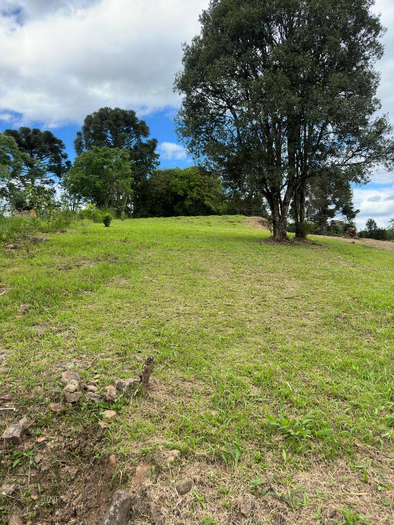 #58740429 - Chácara para Venda em Campos Novos - SC