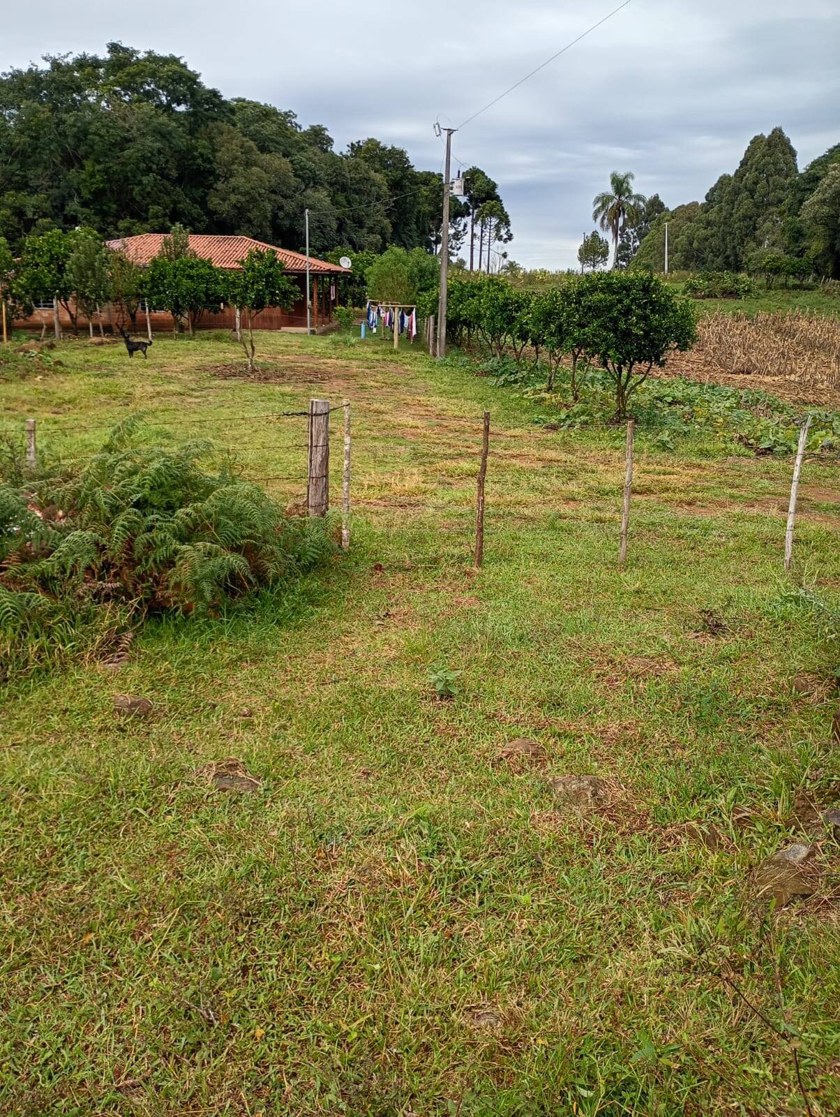 #58740453 - Chácara para Venda em Campos Novos - SC