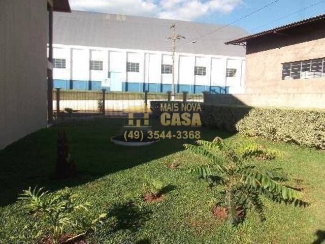  para  em  - 4