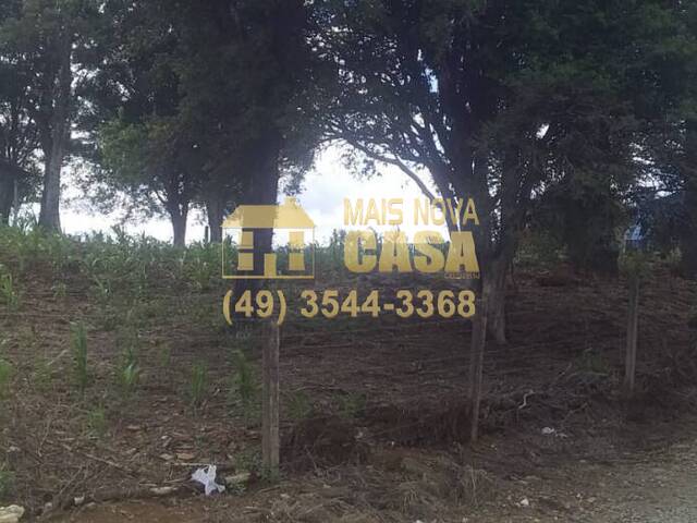 Área para Venda em Campos Novos - 4