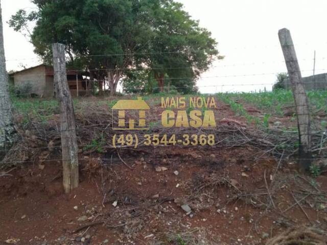 Área para Venda em Campos Novos - 3