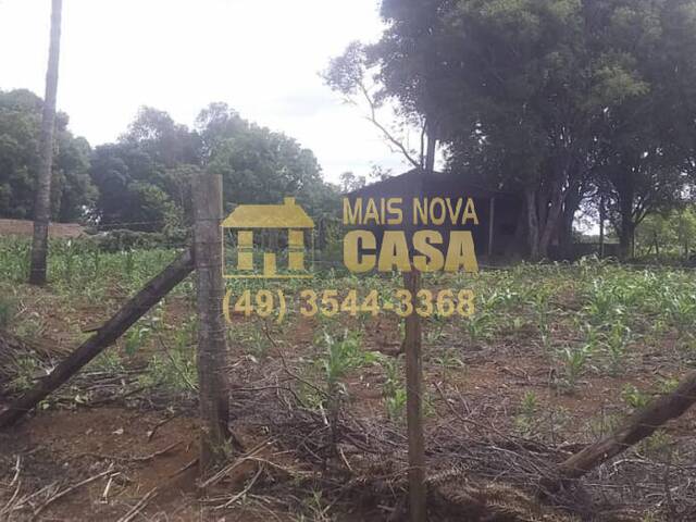 Área para Venda em Campos Novos - 5