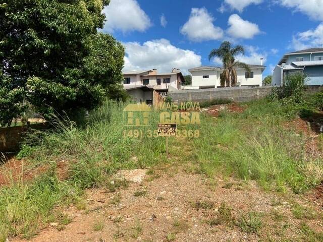 #58738615 - Área para Venda em Campos Novos - SC - 3