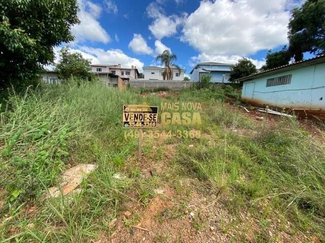 #58738615 - Área para Venda em Campos Novos - SC - 2