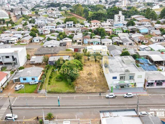 #58738355 - Área para Venda em Campos Novos - SC - 2