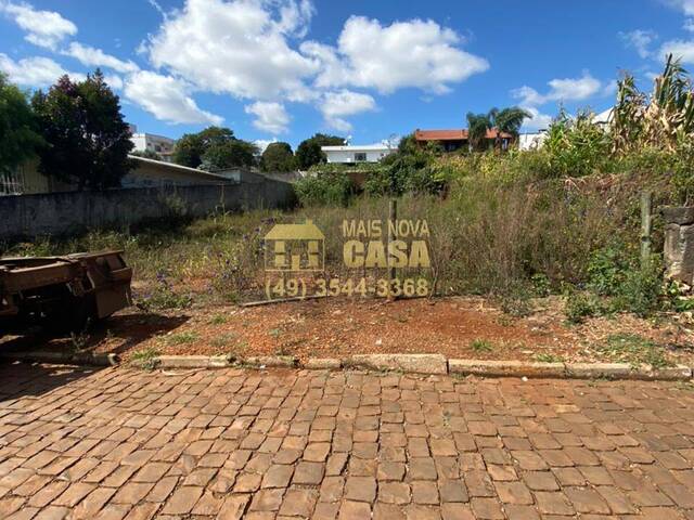#58738665 - Área para Venda em Campos Novos - SC - 2