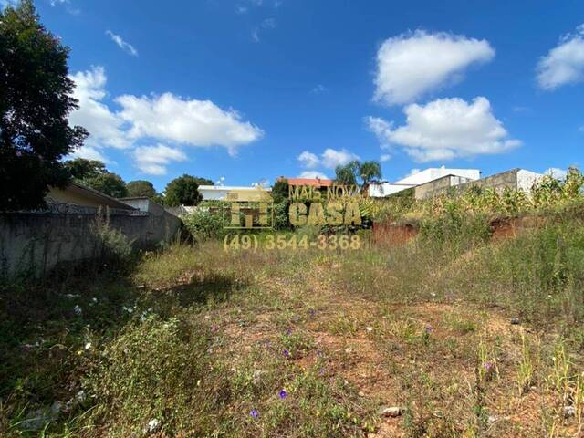 #58738665 - Área para Venda em Campos Novos - SC - 3