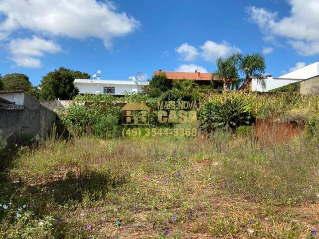 Área para Venda em Campos Novos - 5