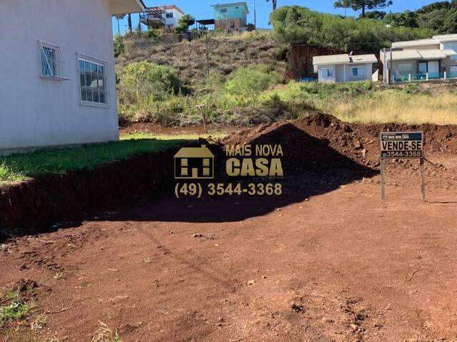 Área para Venda em Campos Novos - 5