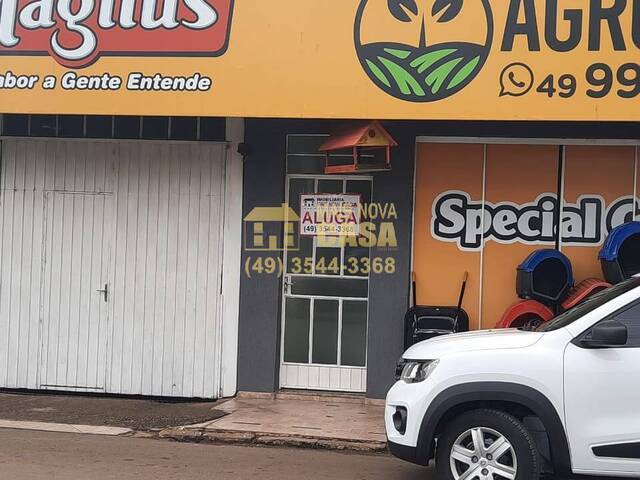 Apartamento para Locação em Campos Novos - 5