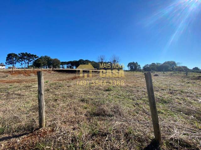 Área para Venda em Campos Novos - 3