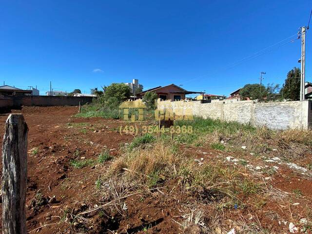 Área para Venda em Campos Novos - 4