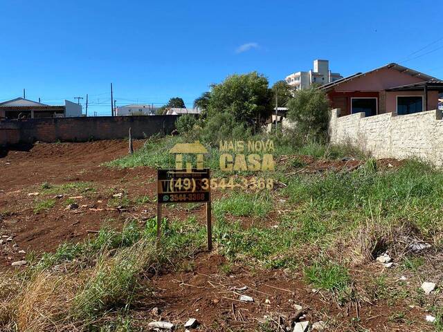 Área para Venda em Campos Novos - 5