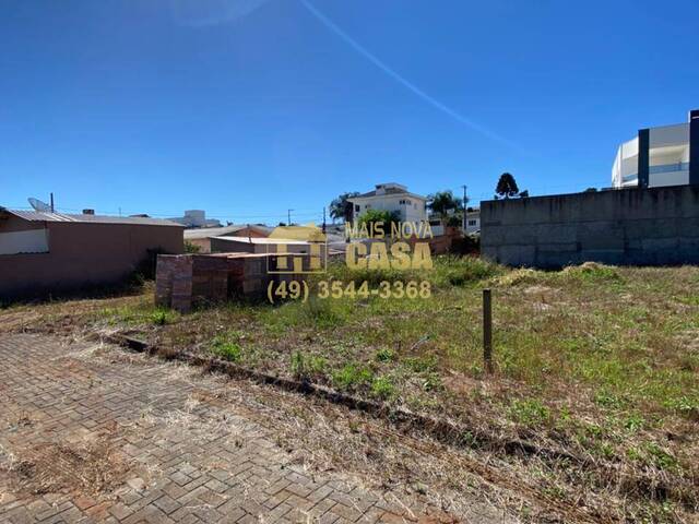 #58738847 - Área para Venda em Campos Novos - SC - 1