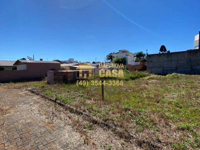 #58738847 - Área para Venda em Campos Novos - SC - 2